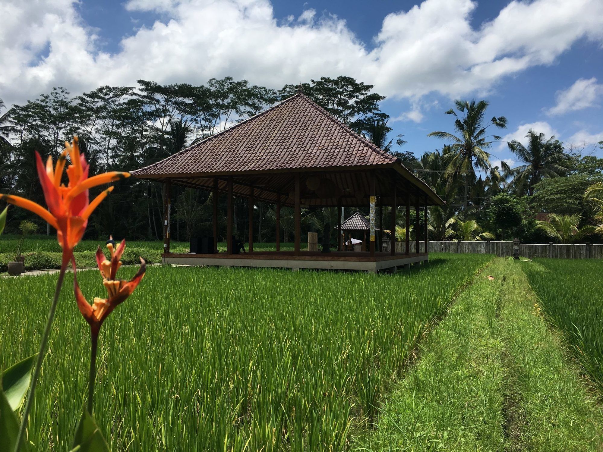 Santosha Villas & Spa อูบุด ภายนอก รูปภาพ